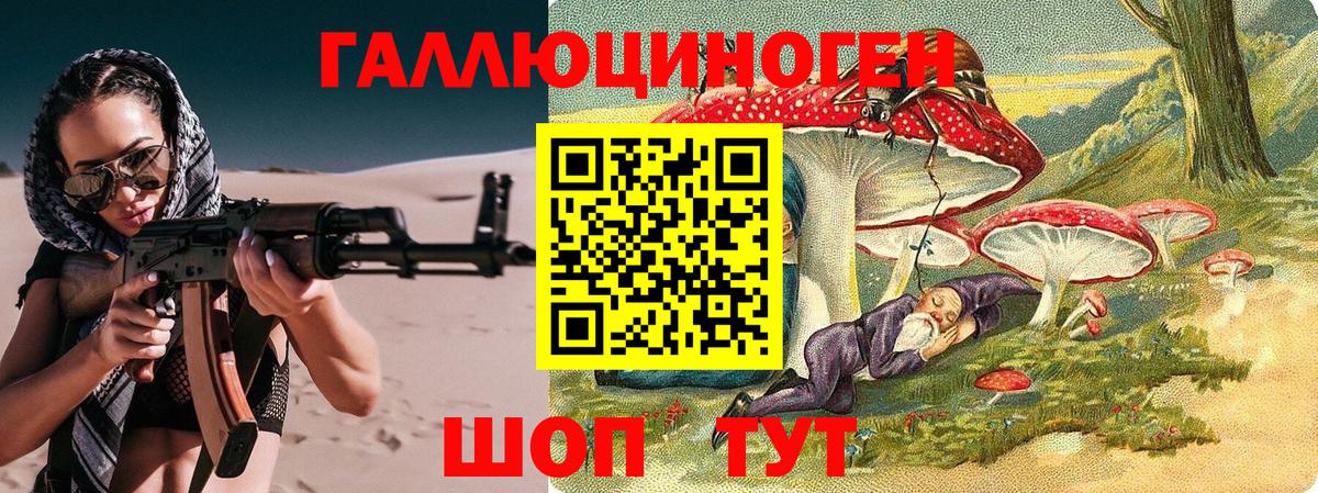 A PVP Котлас