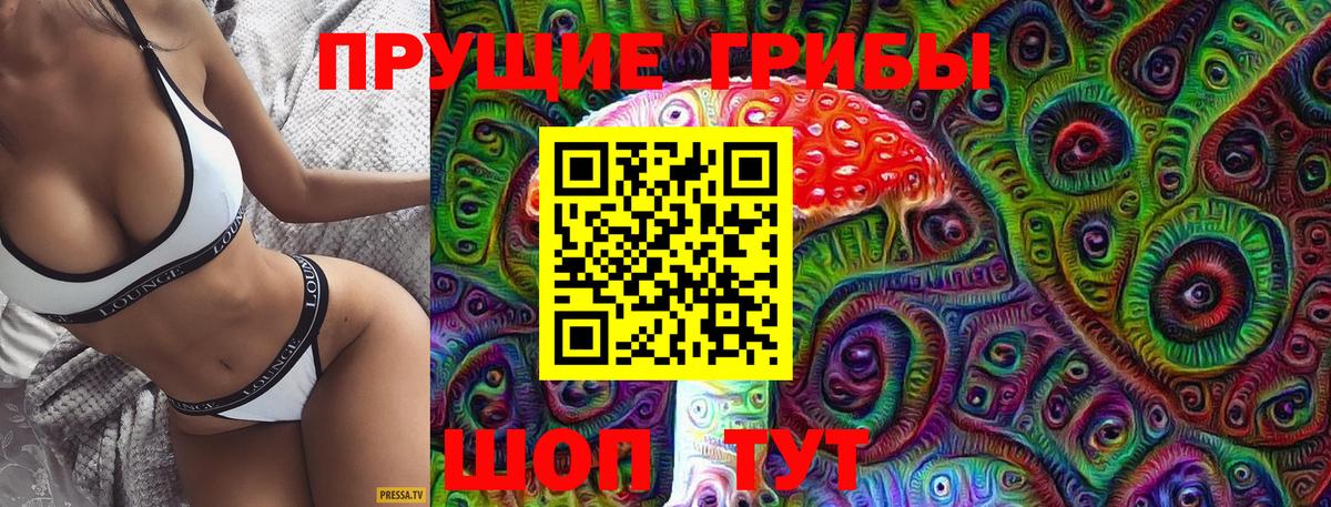 Псилоцибиновые грибы GOLDEN TEACHER  Вход с VPN  Котлас  Псилоцибиновые грибы ЛСД 