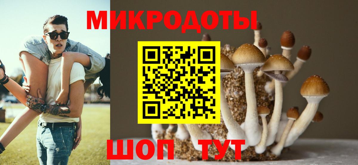 Галлюциногенные грибы мухоморы Котлас